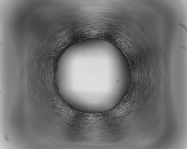 X0000096991105200802221451