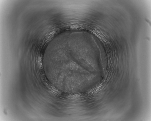 X0000096991106200802221451