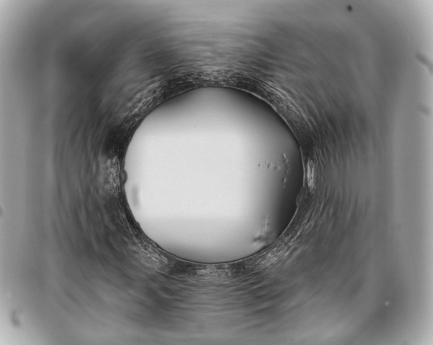 X0000096991107200802221451