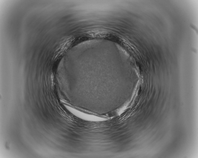 X0000096991108200802221451