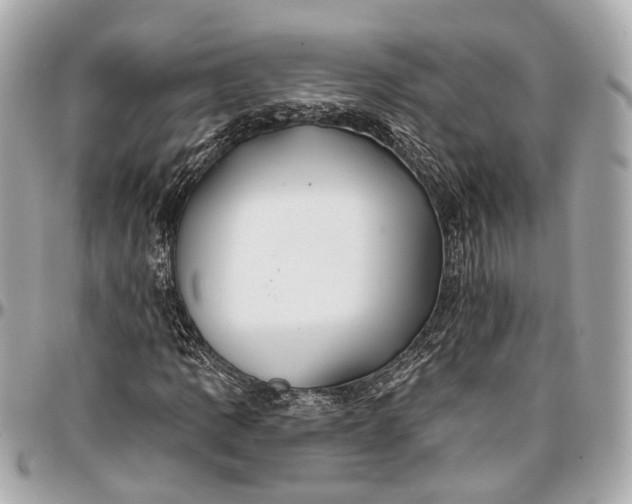 X0000096991109200802221451