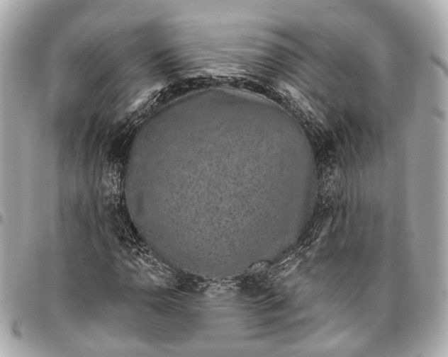 X0000096991110200802221451