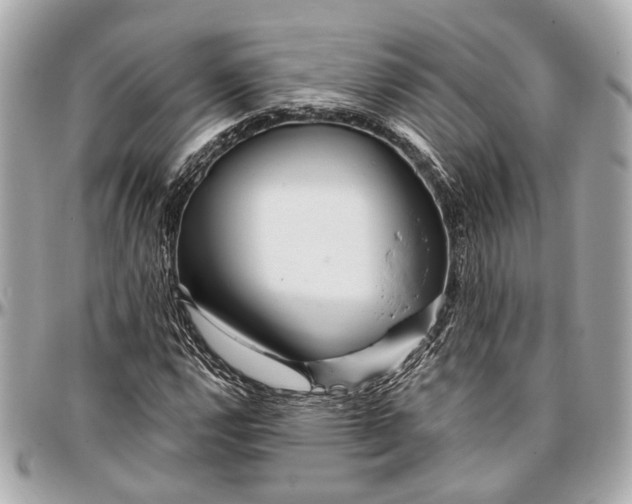 X0000096991112200802221451