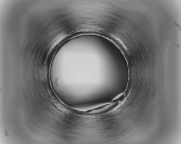 X0000096991114200802221451