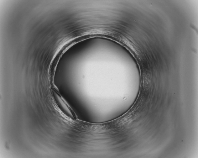 X0000096991116200802221451