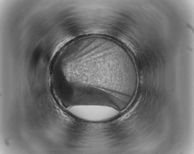 X0000096991117200802221451