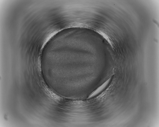 X0000096991120200802221451