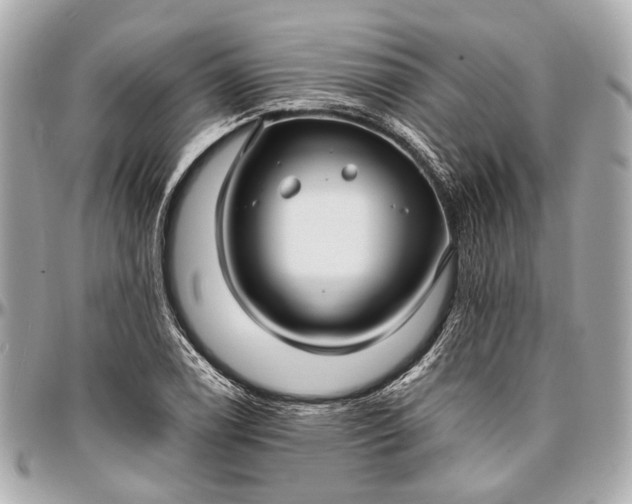 X0000096991122200802221451