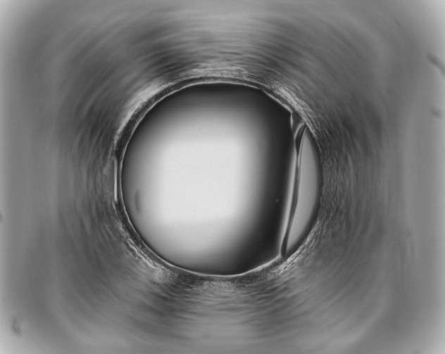 X0000096991123200802221451