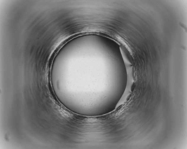 X0000096991124200802221451