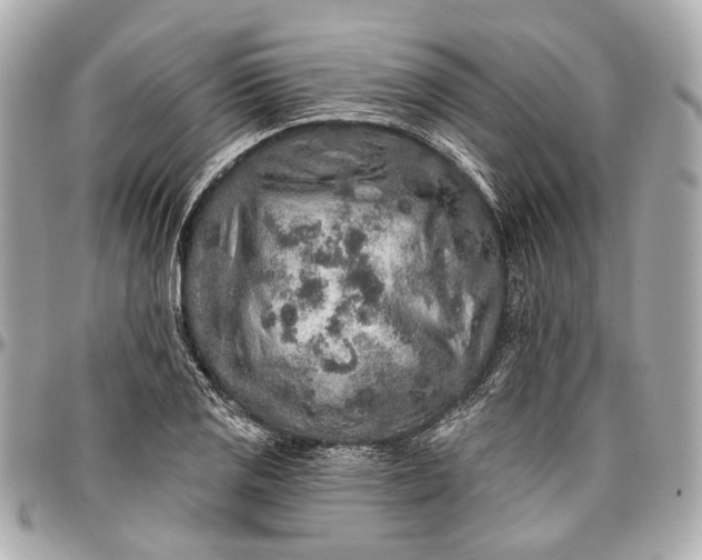 X0000096991125200802221451