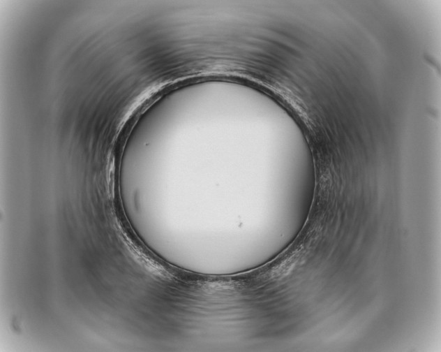 X0000096991126200802221451