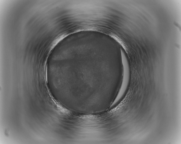 X0000096991127200802221451