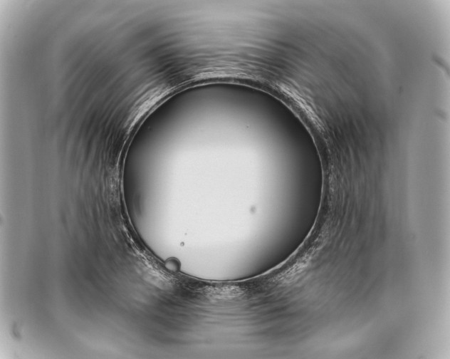 X0000096991129200802221451