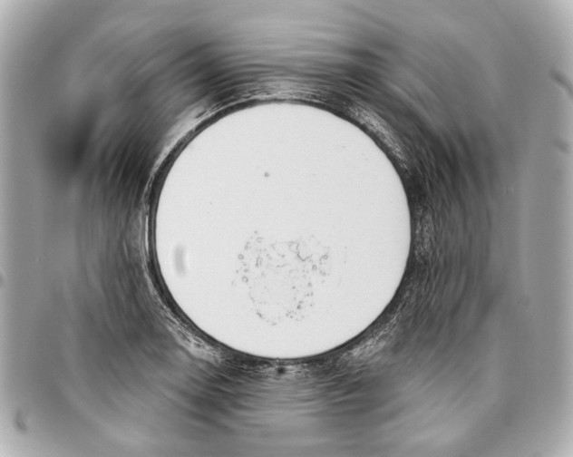 X0000096991130200802221451