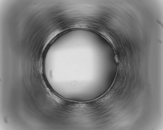 X0000096991131200802221451