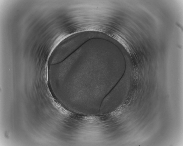 X0000096991132200802221451