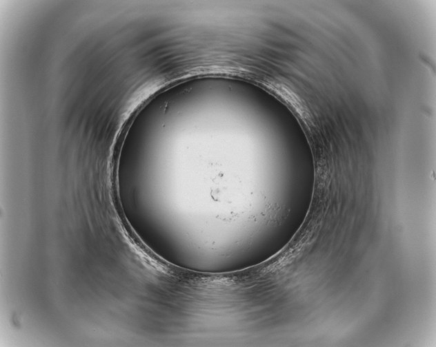 X0000096991135200802221451