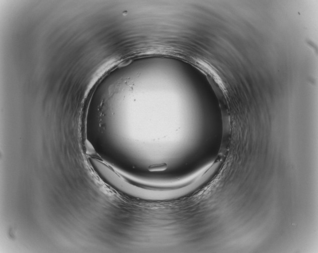 X0000096991138200802221451