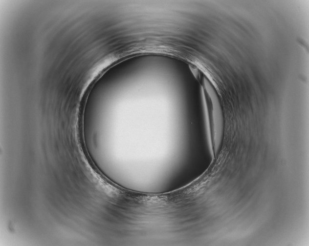 X0000096991139200802221451