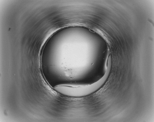 X0000096991140200802221451