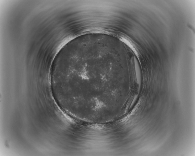 X0000096991141200802221451