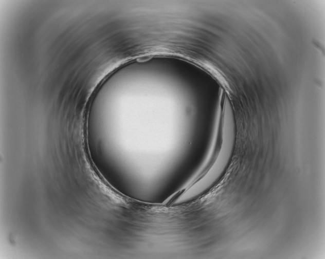 X0000096991142200802221451