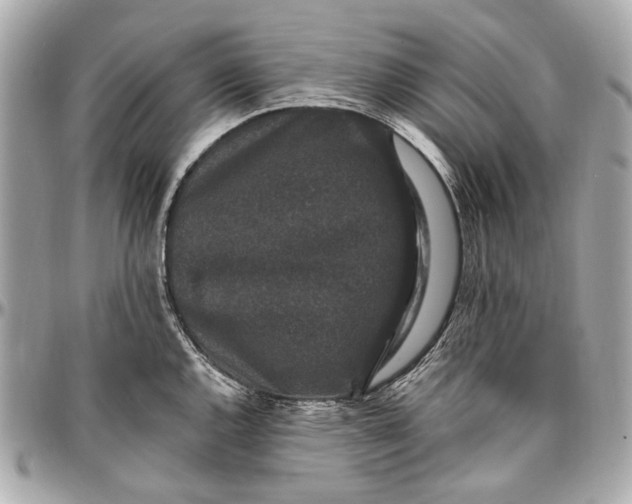 X0000096991144200802221451