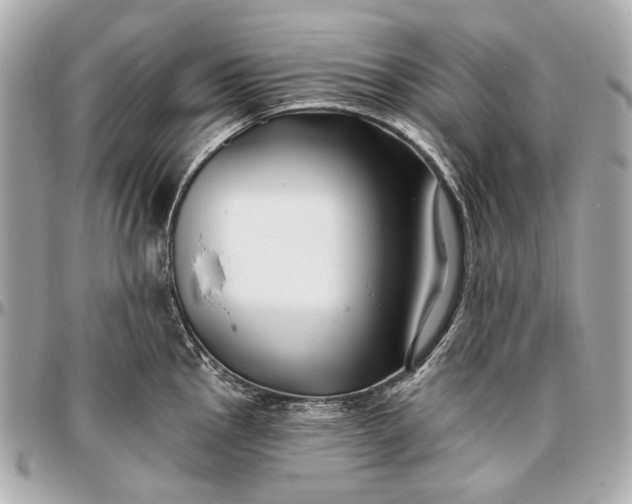 X0000096991145200802221451