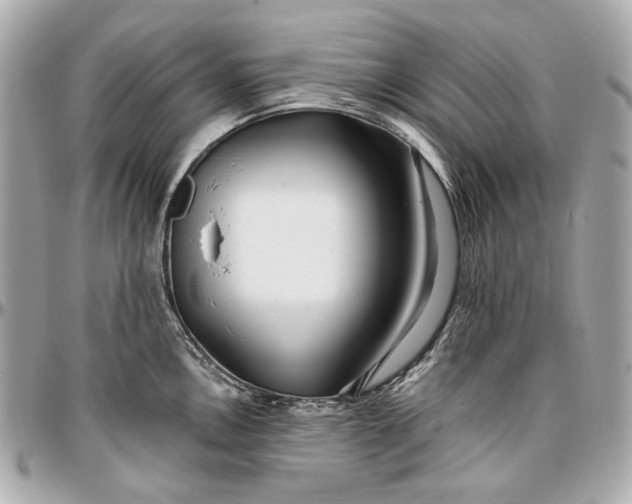 X0000096991146200802221451