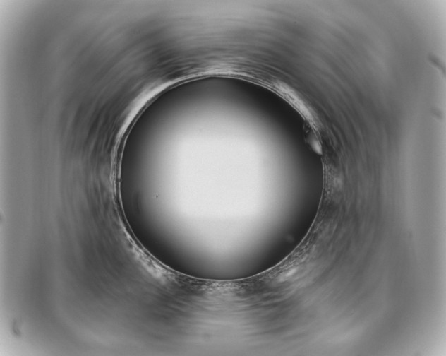 X0000096991148200802221451