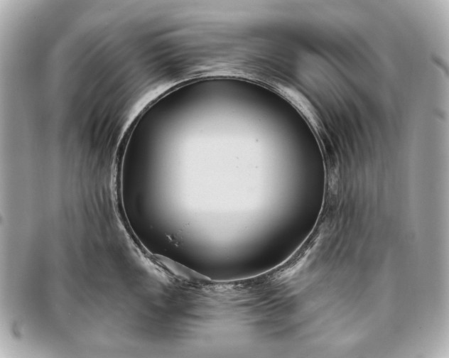 X0000096991149200802221451