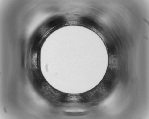 X0000096991150200802221451