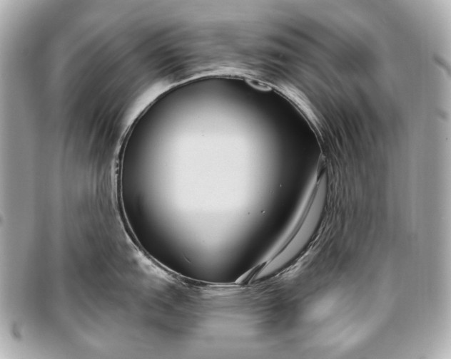 X0000096991151200802221451