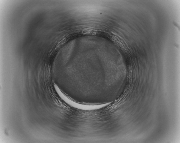 X0000096991154200802221451