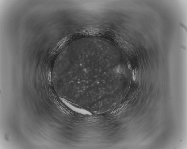 X0000096991155200802221451