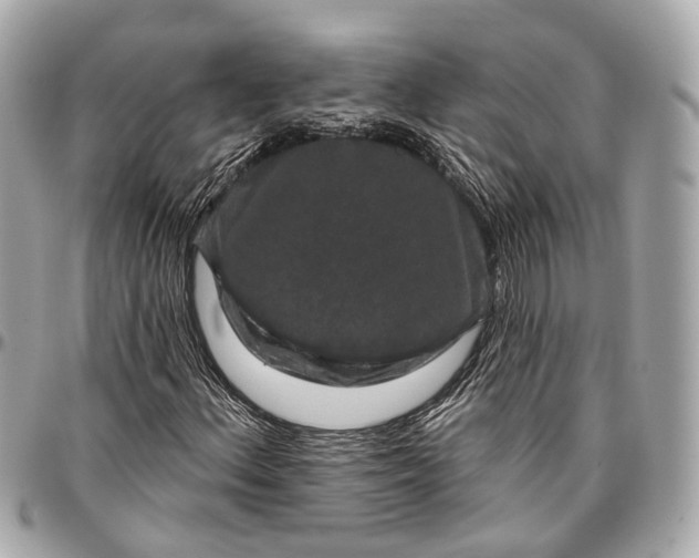 X0000096991156200802221451
