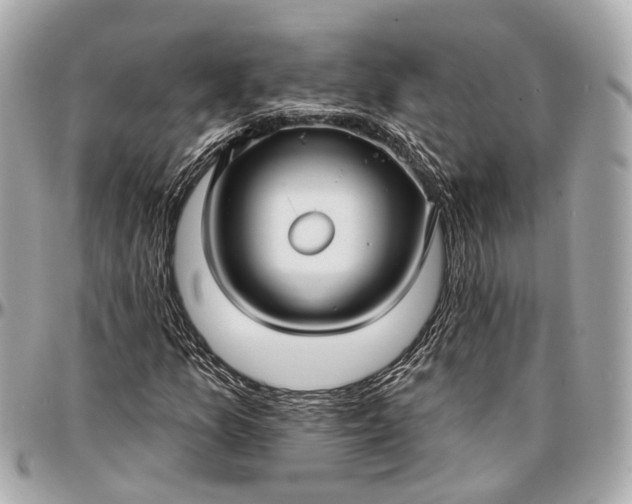 X0000096991157200802221451