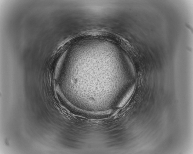X0000096991158200802221451