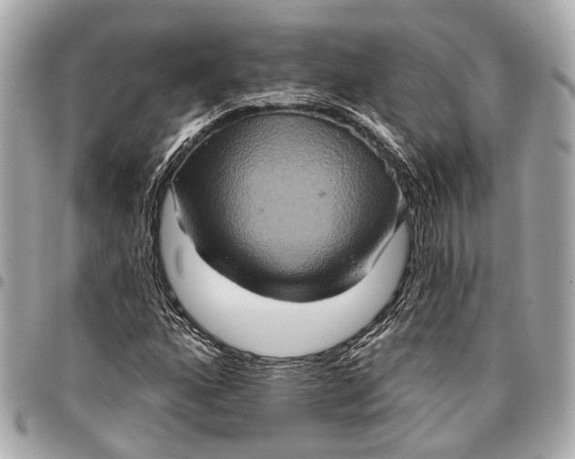 X0000096991160200802221450
