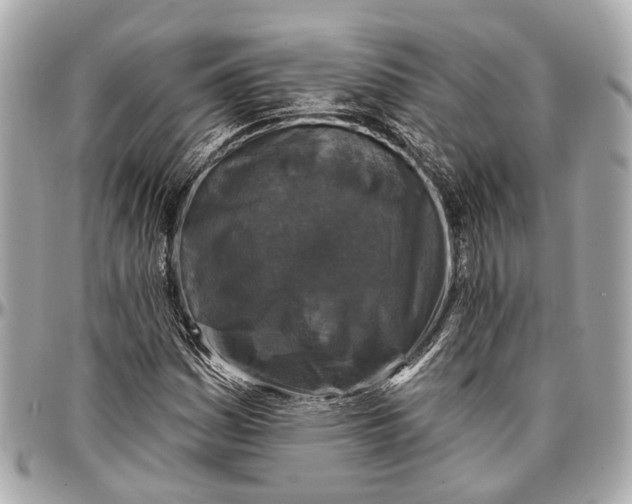 X0000096991161200802221450