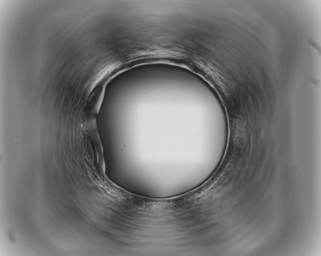 X0000096991163200802221450
