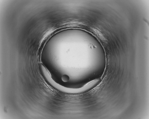 X0000096991164200802221450
