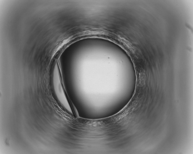 X0000096991165200802221450
