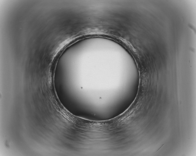 X0000096991167200802221450
