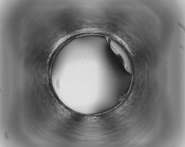 X0000096991168200802221450