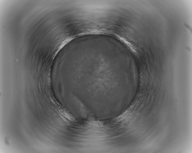 X0000096991170200802221450