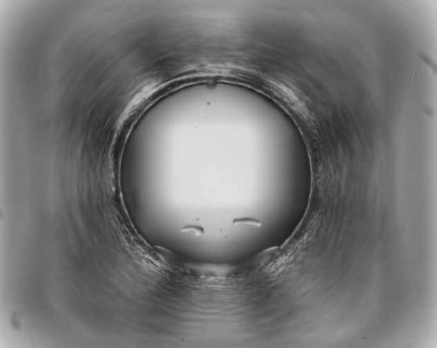 X0000096991172200802221450