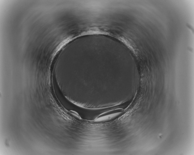 X0000096991173200802221450