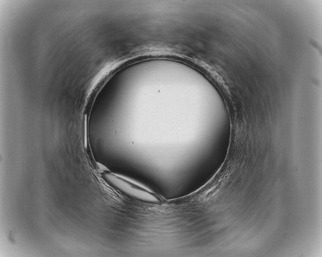 X0000096991175200802221450